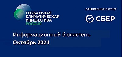 Информационный бюллетень • Октябрь 2024